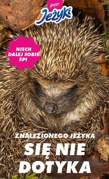 Jeżyki