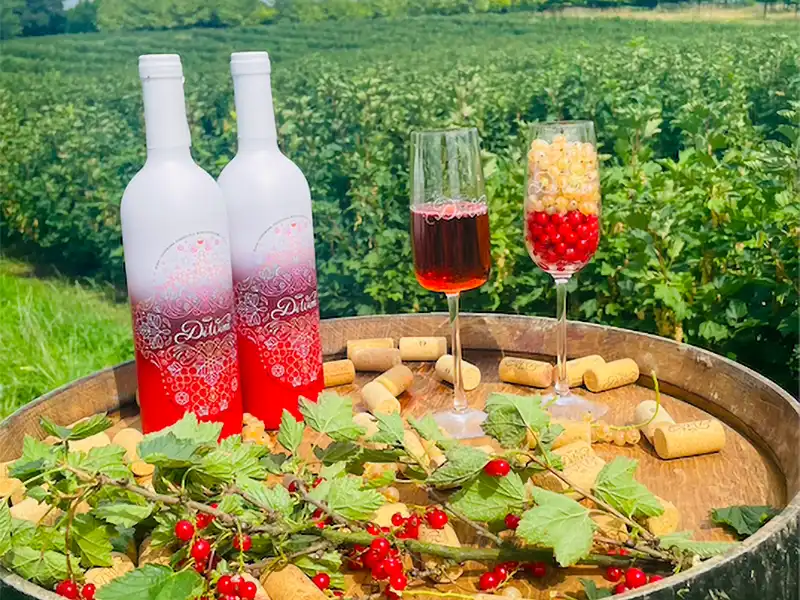 DiWine