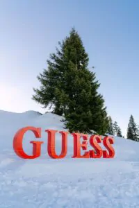 guess